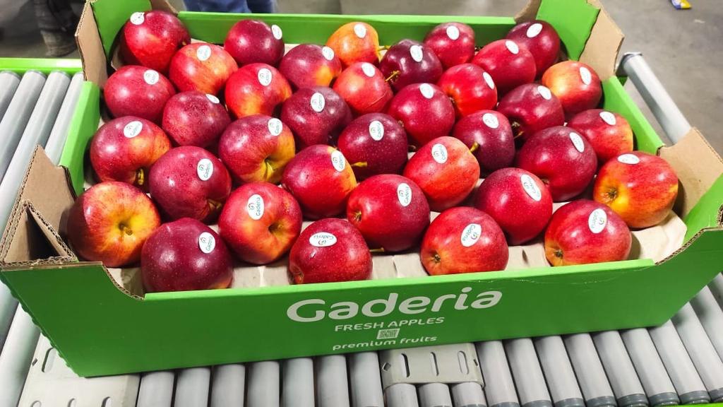 Gaderia починають експорт продукції до Швеції